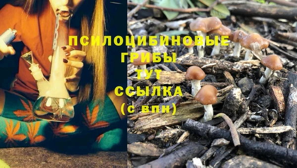 марки nbome Абаза